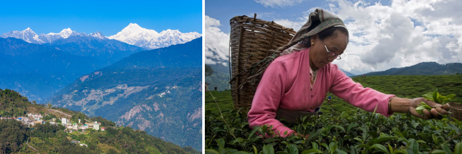 A 100% organic world is possible. The Indian state of Sikkim shows us how –  Navdanya international