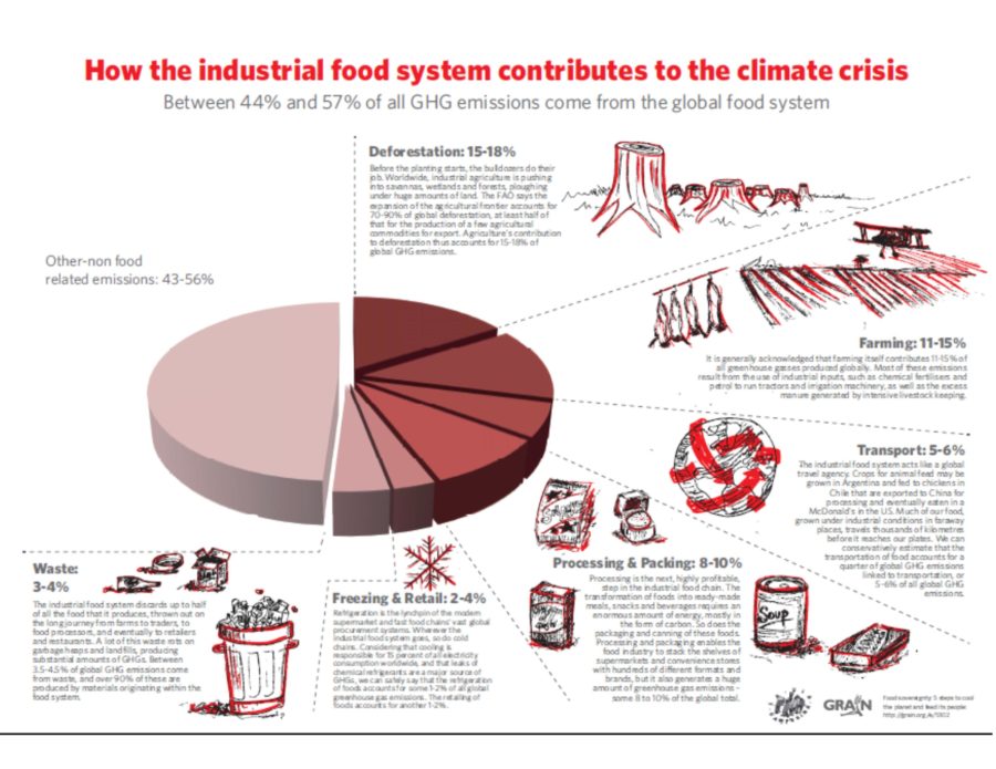 An Agroecological Transformation to Tackle Climate Change – Navdanya ...